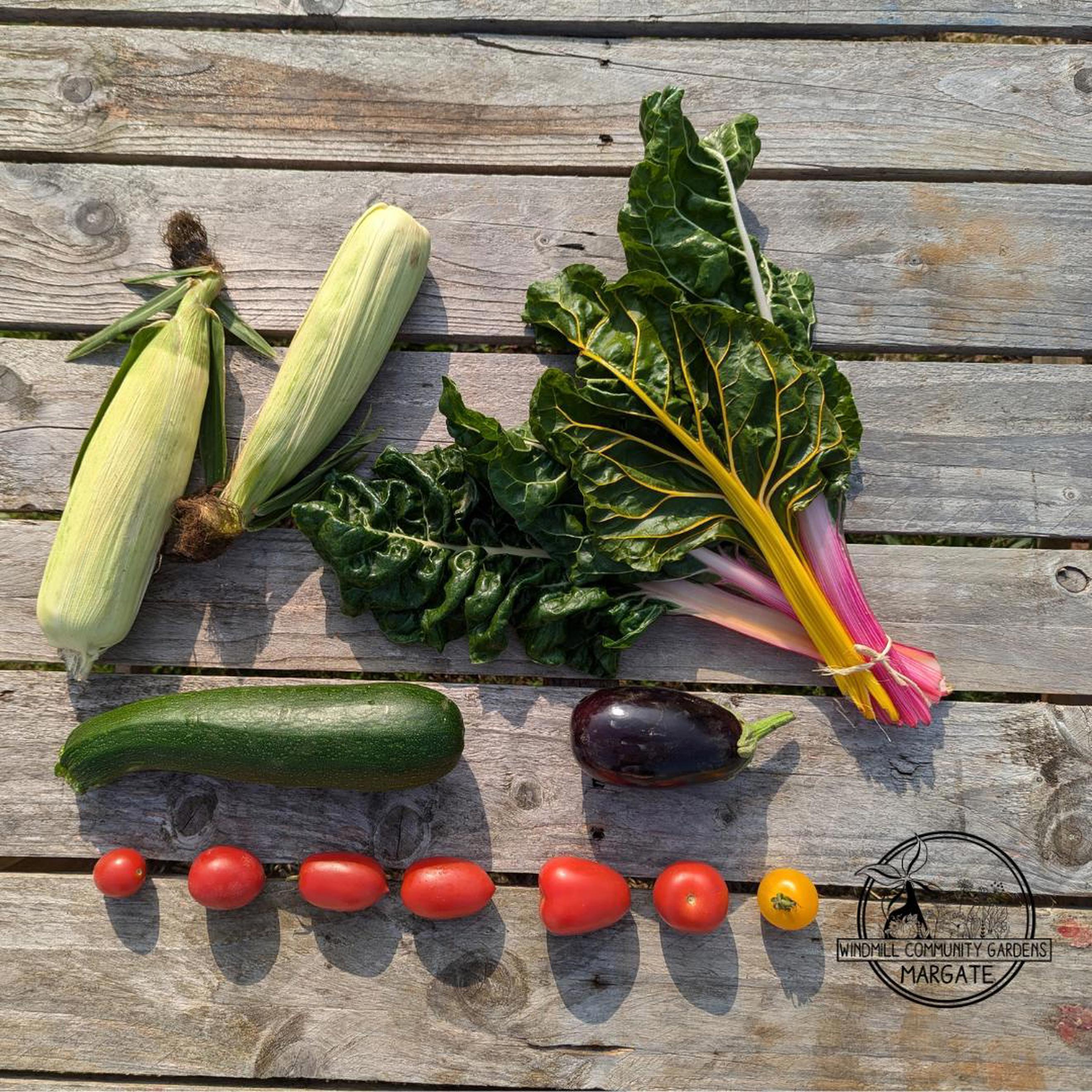 Small Veg Bag