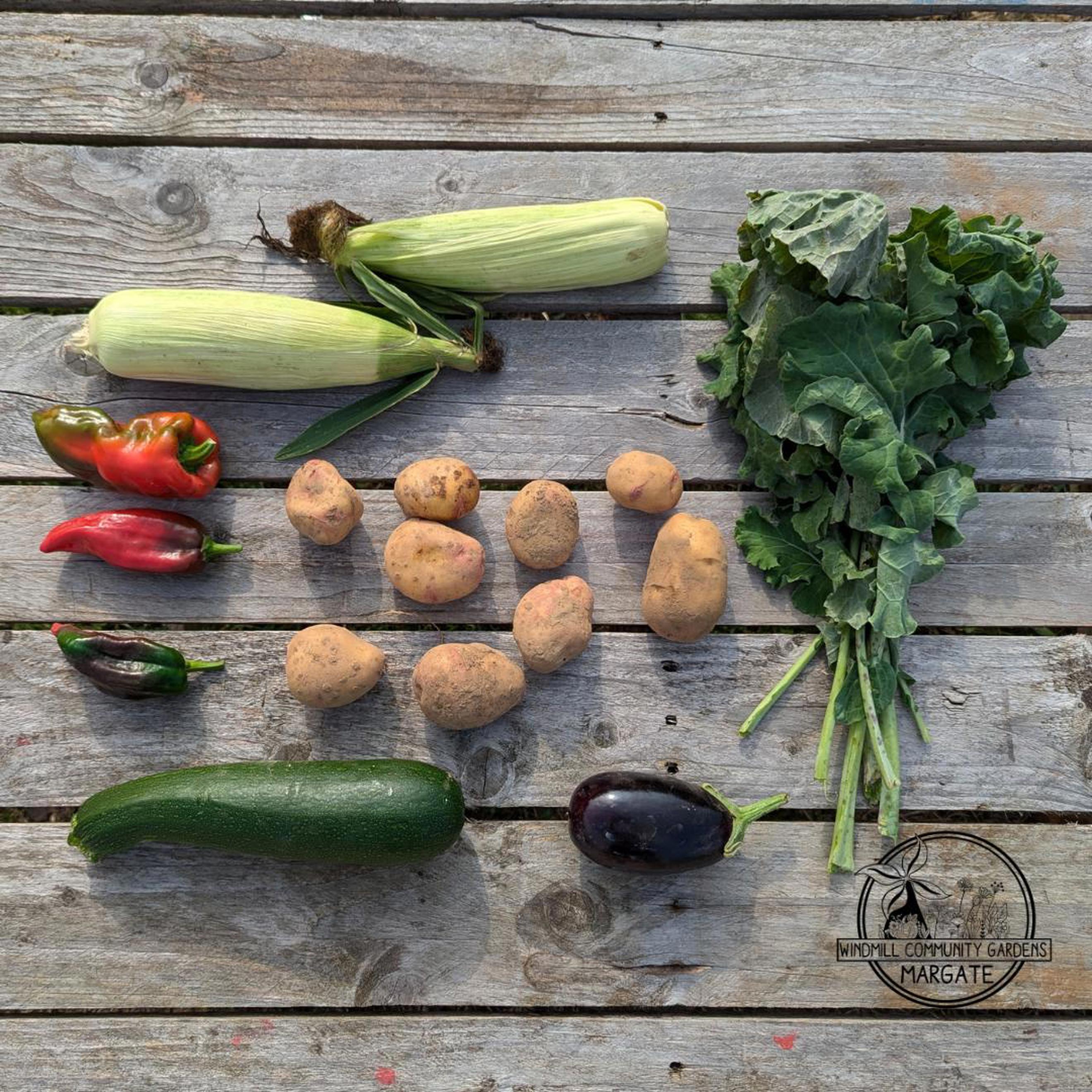 Standard Veg Bag