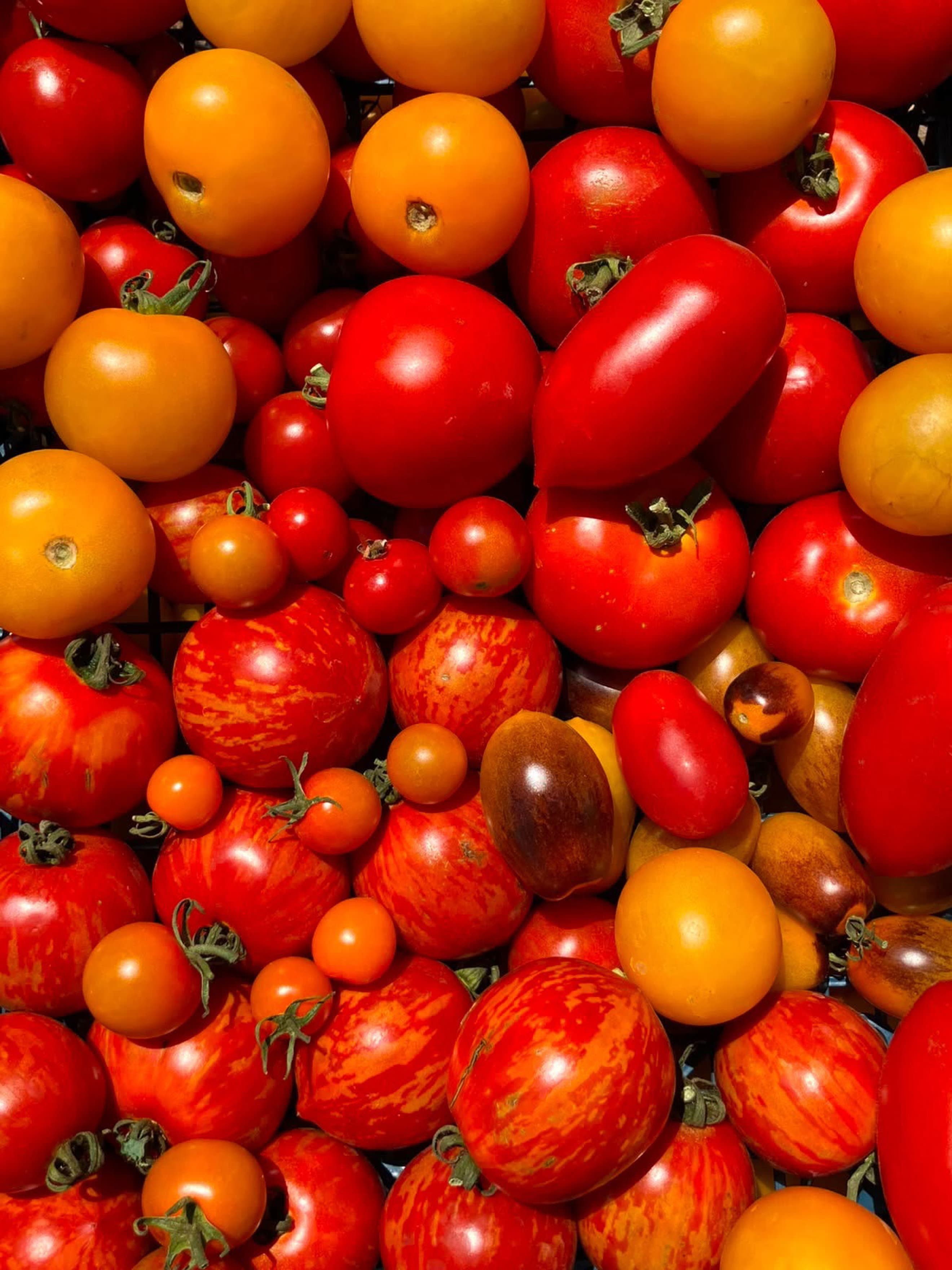 Tomatoes Extra Portion