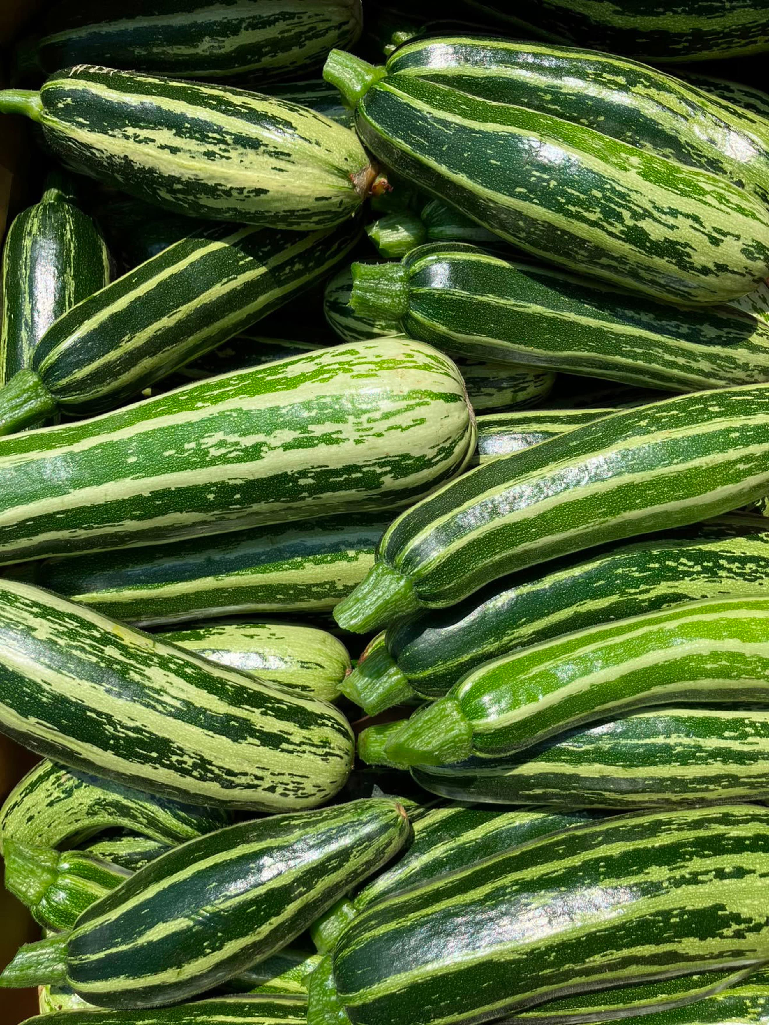 Courgette Extra Portion